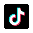 TikTok Services monetization